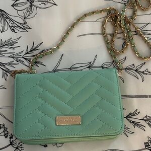 Bebe Light Green Chevron Crossbody Bag